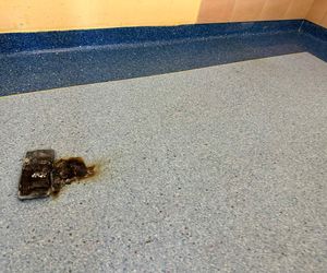 Nie było „dymka”, więc cisnął telefonem! Alarm w szpitalu, strażacy w akcji