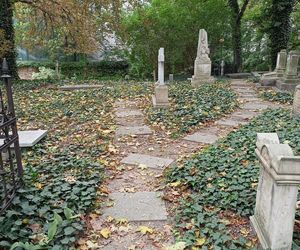 Cmentarz Zasłużonych Wielkopolan skrywa niezwykłe historie. To tu spoczywają wielcy poznaniacy