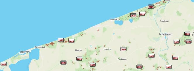 Mapa wycinki lasów 2025 - woj. zachodniopomorskie