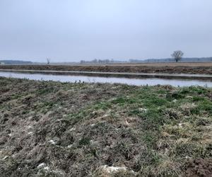 Alarm powodziowy pod Wrocławiem. Gwałtowne wzrosty poziomu wód na kilku rzekach