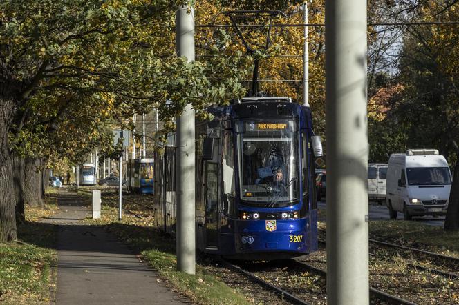 Wichura Wrocław drzewo tramwaj   