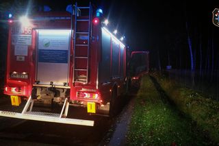 W Izabelinie drzewo przewróciło się na samochód