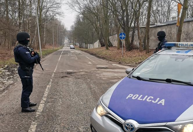 Ucieczka pantery śnieżnej z zoo w Chorzowie. Zdjęcia z akcji poszukiwawczej