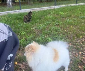 Daisy Najman, pies Marcina Najmana