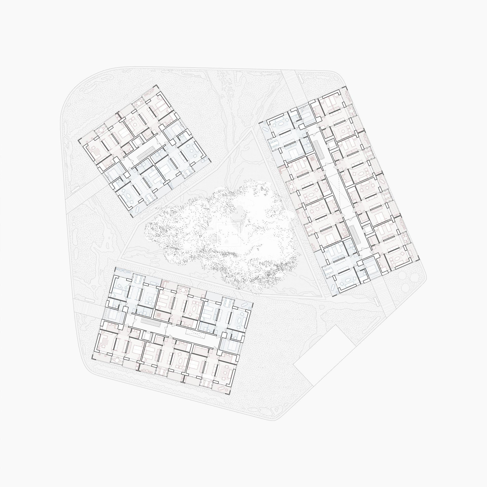 Osiedle Forsycji w Stargardzie