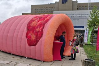 Jelito 3D stanęło przy szpitalu w Sosnowcu