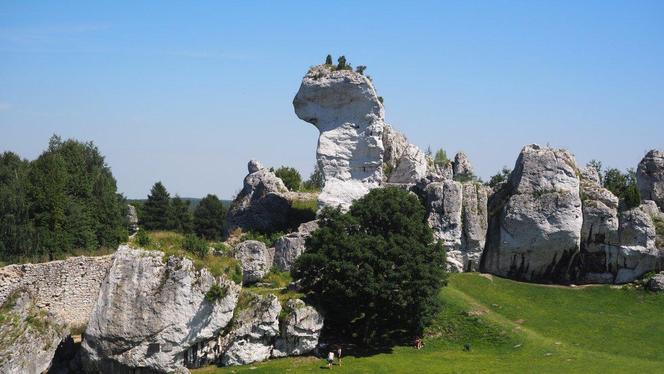 Oblężenie na zamku w Ogrodzieńcu w długi weekend