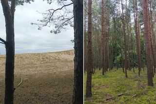 Te miejsca w Trójmieście i okolicach musisz odwiedzić jesienią