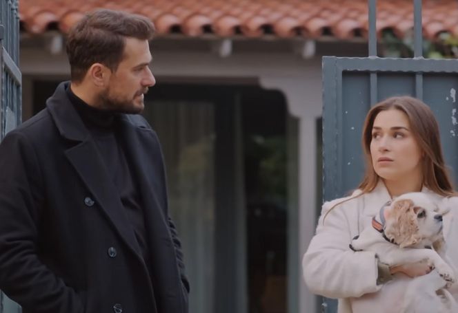 Miłość i nadzieja, odcinek 331. Sila, Kuzey