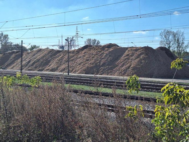 Olbrzymia hałda trocin na kolejowej bocznicy w Starachowicach. Protest mieszkańców 