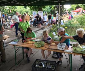 Piknik na Górze Zamkowej w ramach Jarmarku Spichrzowego