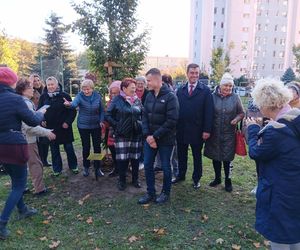 Danusia, Halinka, Linkus, Seniorita i Stasiu zapuszczają korzenie. Nowe nasadzenia w Lesznie