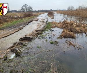 Podtopione domy pod Wrocławiem. Przerwany wał i stan alarmowy na kilku rzekach 