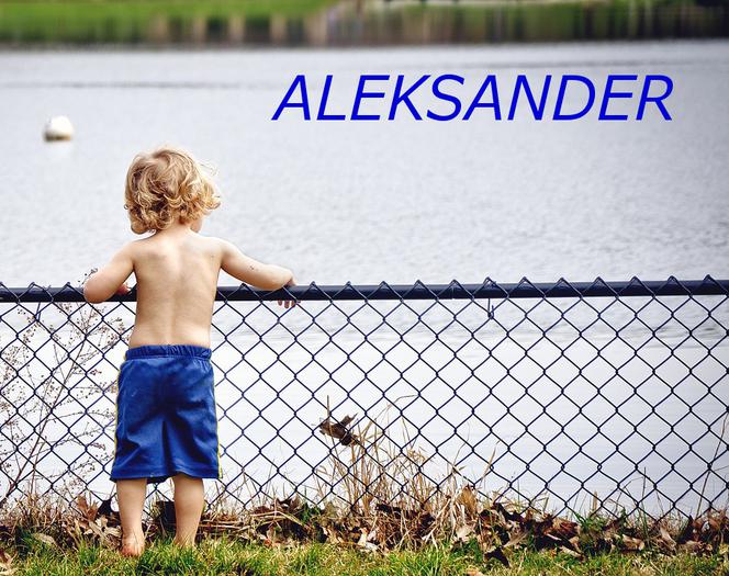 ALEKSANDER