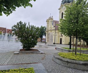 Spacer po Rynku w Starym Fordonie. Śladami historii, trzech kultur i niezwykłej przemiany