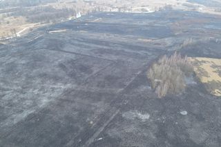 Mazowsze płonie. Ponad 300 pożarów w dwa dni. Strażacy biją na alarm!