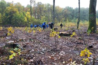 Operacja czysta rzka sadzi las