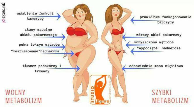 Studio Figura Babski Raj