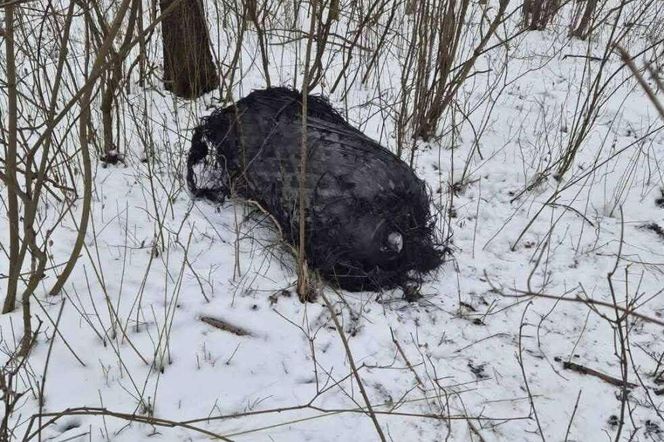 Szczątki rakiety Falcon 9 pod Poznaniem! Znaleziono kolejny zbiornik 