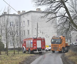 Wielka akcja policji w Nowym Dworze Mazowieckim. Znaleziono ludzkie szczątki