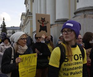 Wielki protest przez ratuszem. Wolontariusze walczą o życie kotów