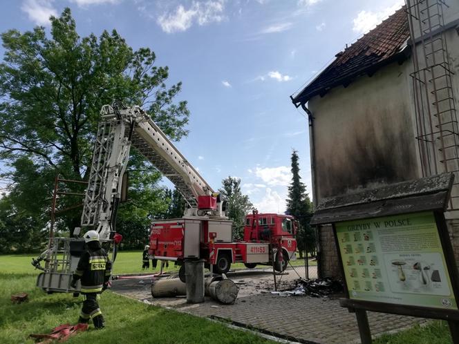 Nowica. Pożar szkoły podstawowej. Zaczęło się od palących pojemników na śmieci