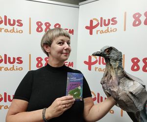Jesienna edycja Fikuśnego Festiwalu 