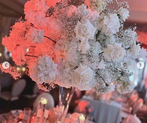 Wesele Cichopek i Kurzajewskiego