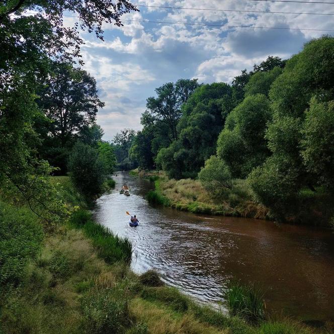 Spływ kajakowy - Meandry Odry