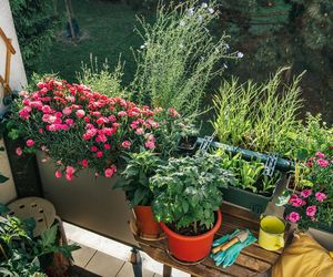 Balkon pełen ziół i kwiatów