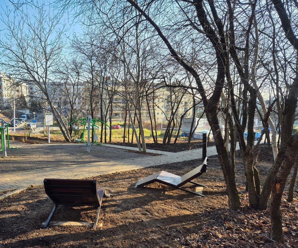Gaj nad Skarpą przy ul. Cyprysowej