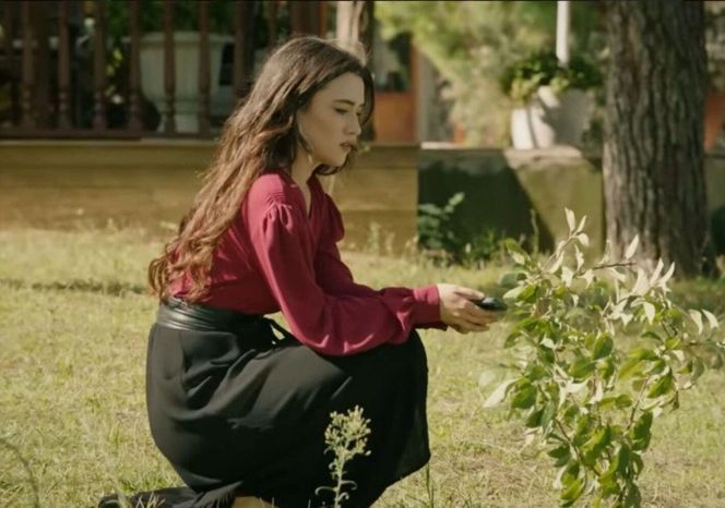 Wichrowe wzgórze odc. 244-248. Halil ogłasza ciążę Zeynep i idzie na wojnę z ukochaną