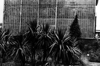 Kraków będzie miał nową atrakcję. Odbudują wiktoriańską oranżerię 