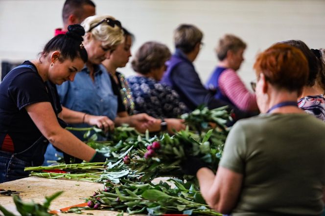 Królewskie kwiaty z Brzozia podbijają świat