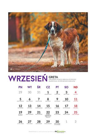Wrzesień - kalendarz ze zwierzętami