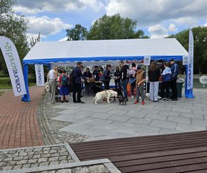 Festiwal Przyjaciół Zwierząt w Olsztynie. Park Centralny opanowały radosne pieski