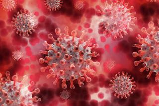 Wuhan: Odkryliśmy nowego koronawirusa, może być śmiertelny dla ludzi