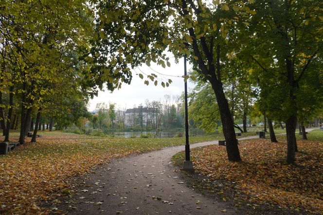 Park Lubomirskich w Białymstoku jesienią 