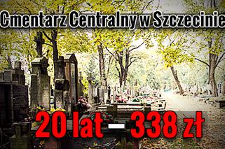 Ile kosztuje utrzymanie grobu na największych cmentarzach w Polsce