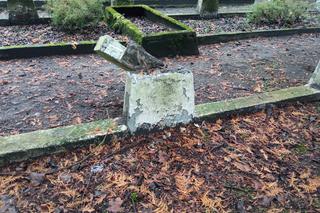 Zniszczone groby na cmentarzu wojennym w Grudziądzu. Policja szuka sprawców 