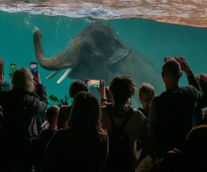 Wyjątkowe ferie w mieście. Orientarium przygotowało półkolonie z mnóstwem atrakcji