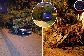 Warszawa zalana po burzy! Drzewo spadło na samochód. Gigantyczne szkody na ulicach i posesjach