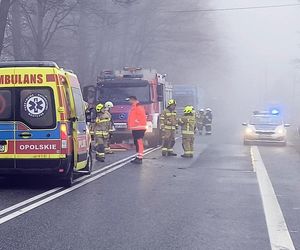 Tragiczny wypadek. W gęstej mgle samochód uderzył w drzewo