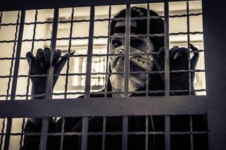 Jastrzębie: Zgłosił kradzież rzeczy, które miał w plecaku. Aresztowali jego koleżankę