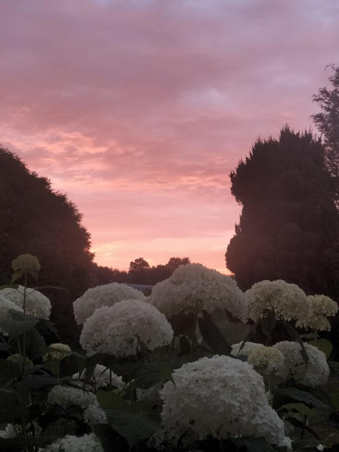 Światowy Dzień Fotografii. Z tych fotek są dumni nasi Czytelnicy! ZOBACZ