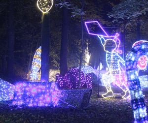 Byliśmy na otwarciu Lumina Park 2024 w Zamku Topacz