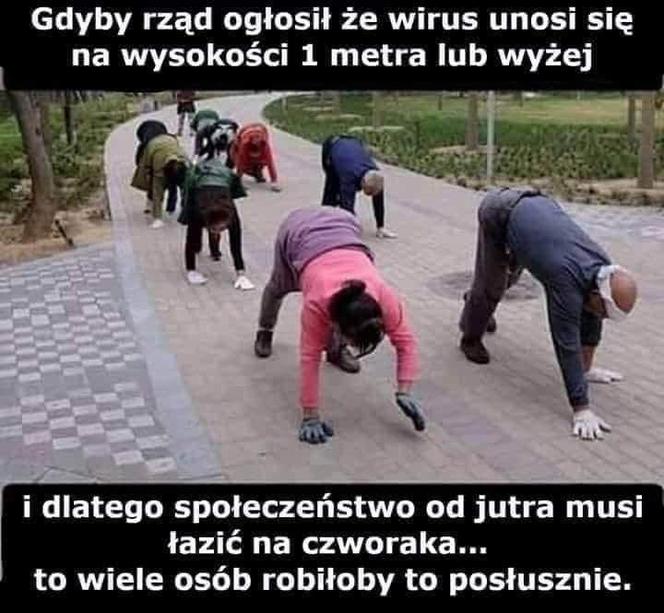 Polacy nie wierzą w koronawirusa. Zobacz memy 