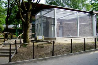 Zoo w Chorzowie: Nowe pawilony dla zwierząt są gotowe