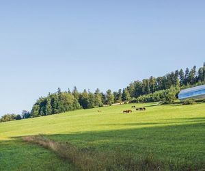 Arka - dom własny Roberta Koniecznego