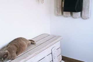 Królestwo drewna i bieli - dom Ani i Sławka